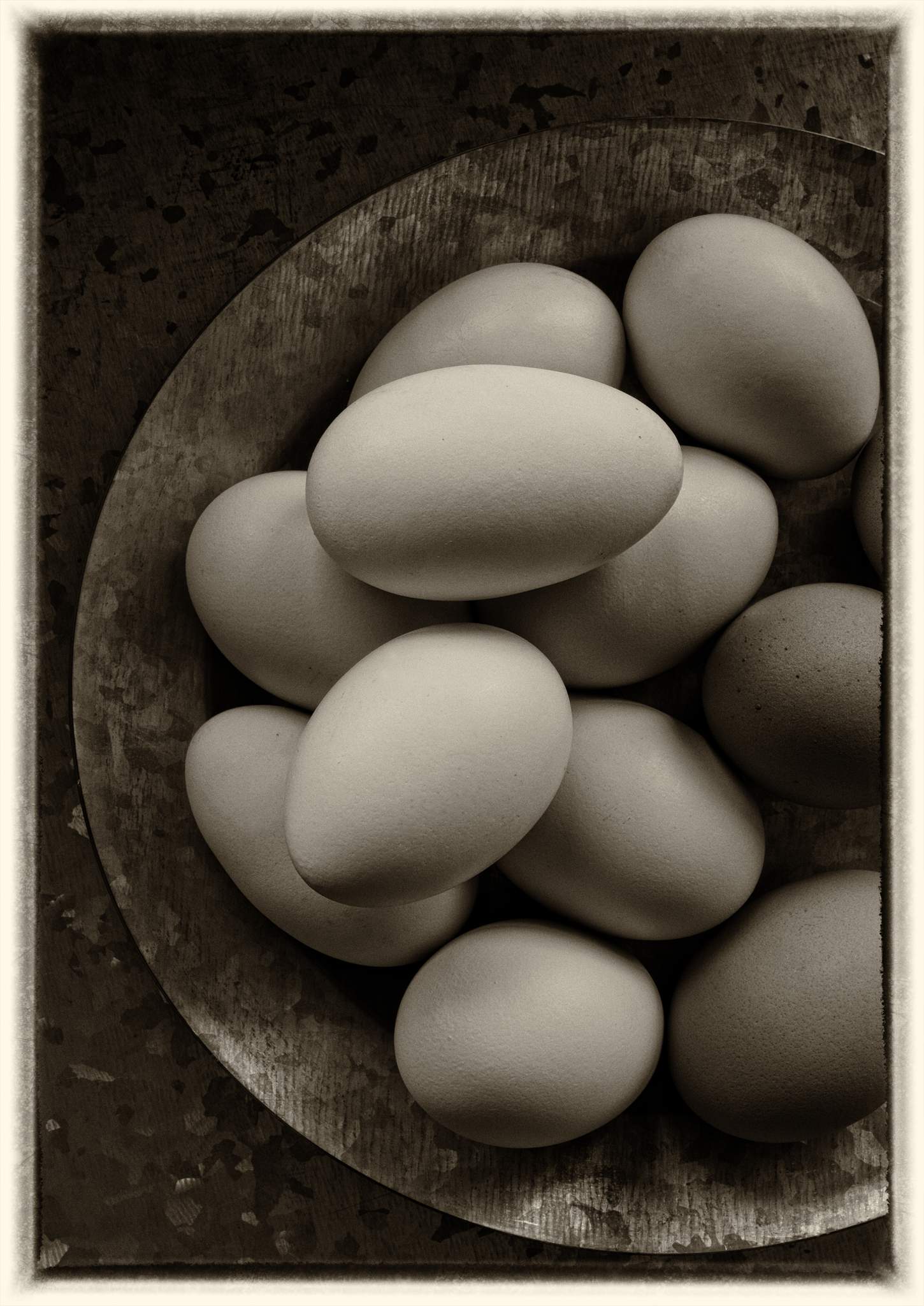 Galvanized steel with Araucana & brown eggs